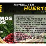 Asistencia a los huertos de autoconsumo