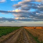 Información sobre quemas y huertos de autoconsumo