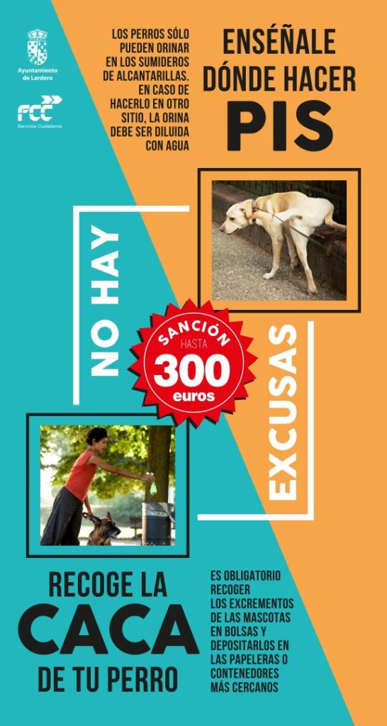 CARTELcaca_pis lardero2