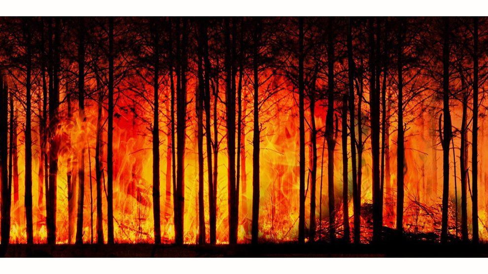 210624 CAMPAÑA PREVENCION DE INCENDIOS