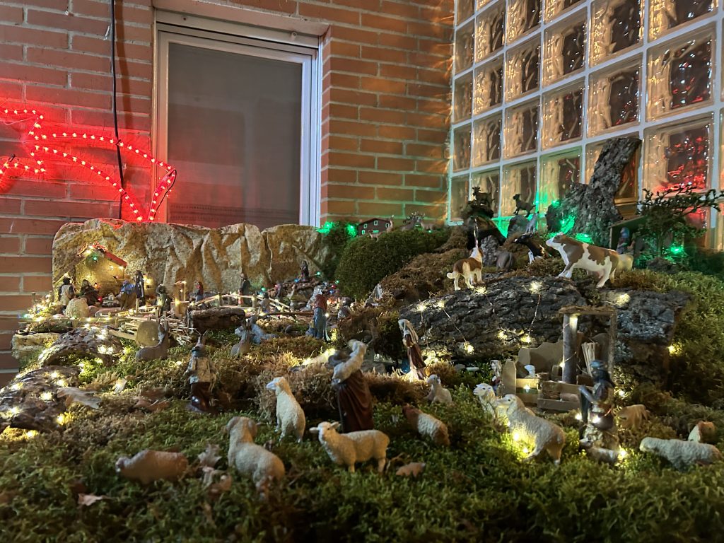 IMG_9393